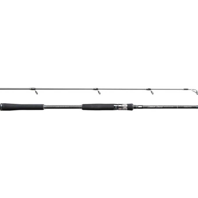 Удилище RAPALA Distant shore 10H RDSS1002HF